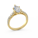 Twilight - Marquise