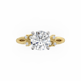 Exquisite - Round