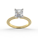 ACJ0339-ASSCHER