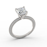 ACJ0339-ASSCHER