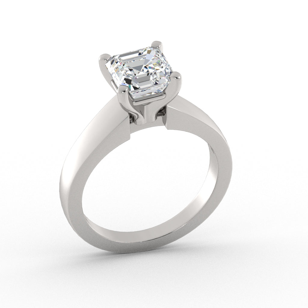 ACJ0345-ASSCHER