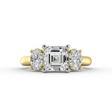ACJ0346-ASSCHER