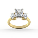ACJ0346-ASSCHER