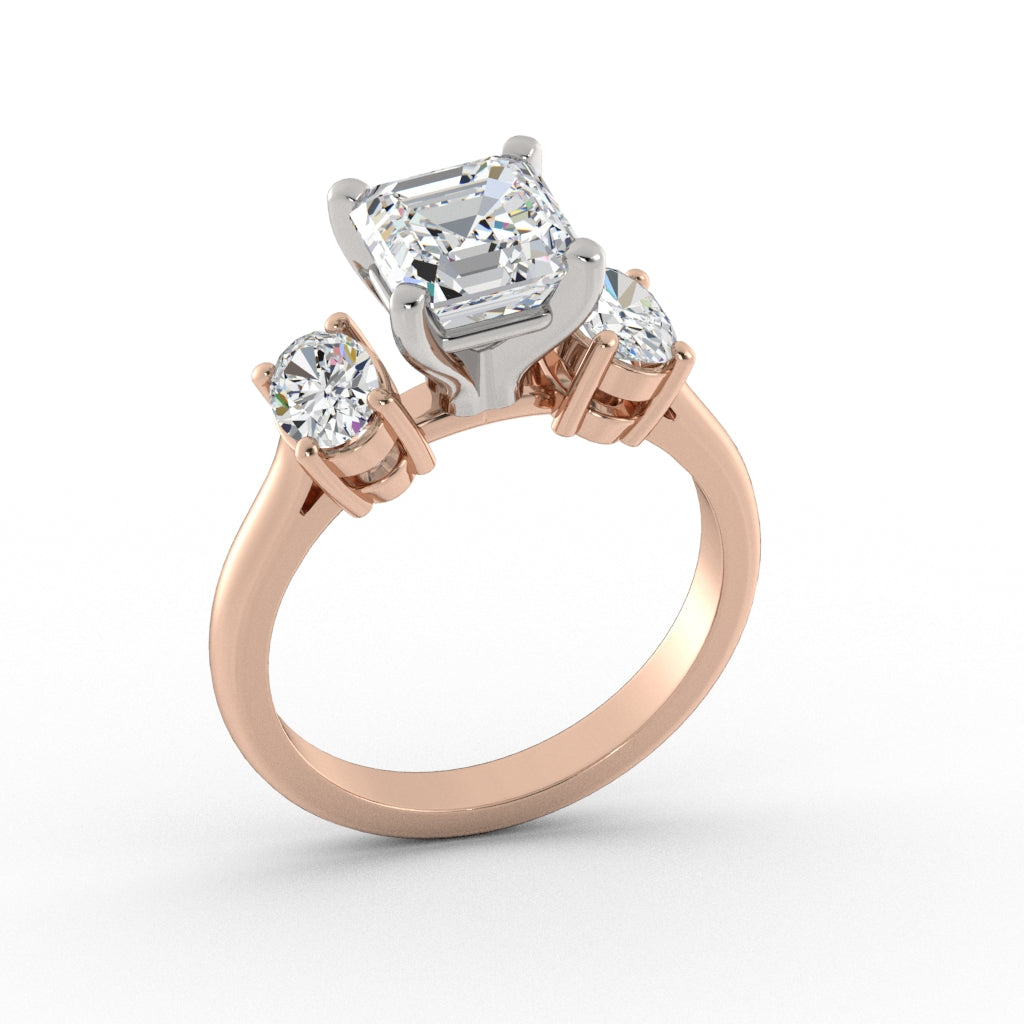 ACJ0346-ASSCHER