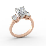 ACJ0346-ASSCHER