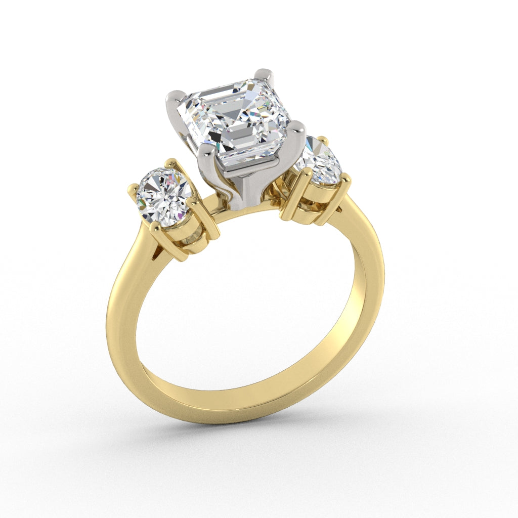 ACJ0346-ASSCHER