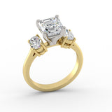 ACJ0346-ASSCHER