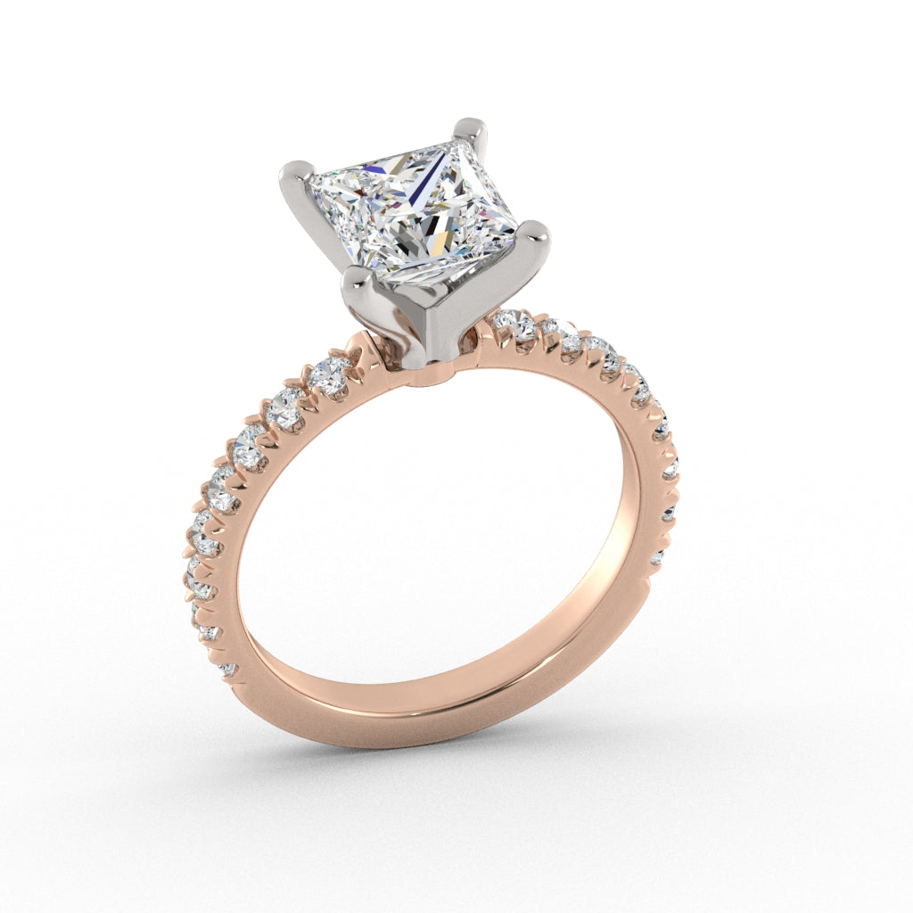 ACJ0374-Princess