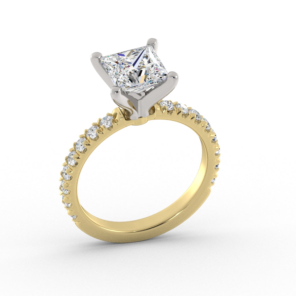 ACJ0374-Princess