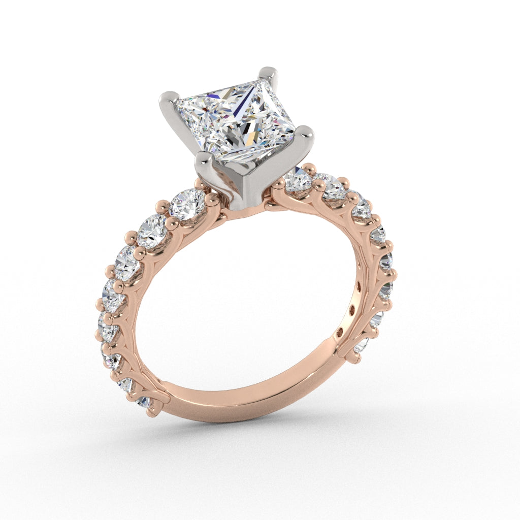 ACJ0574-Princess