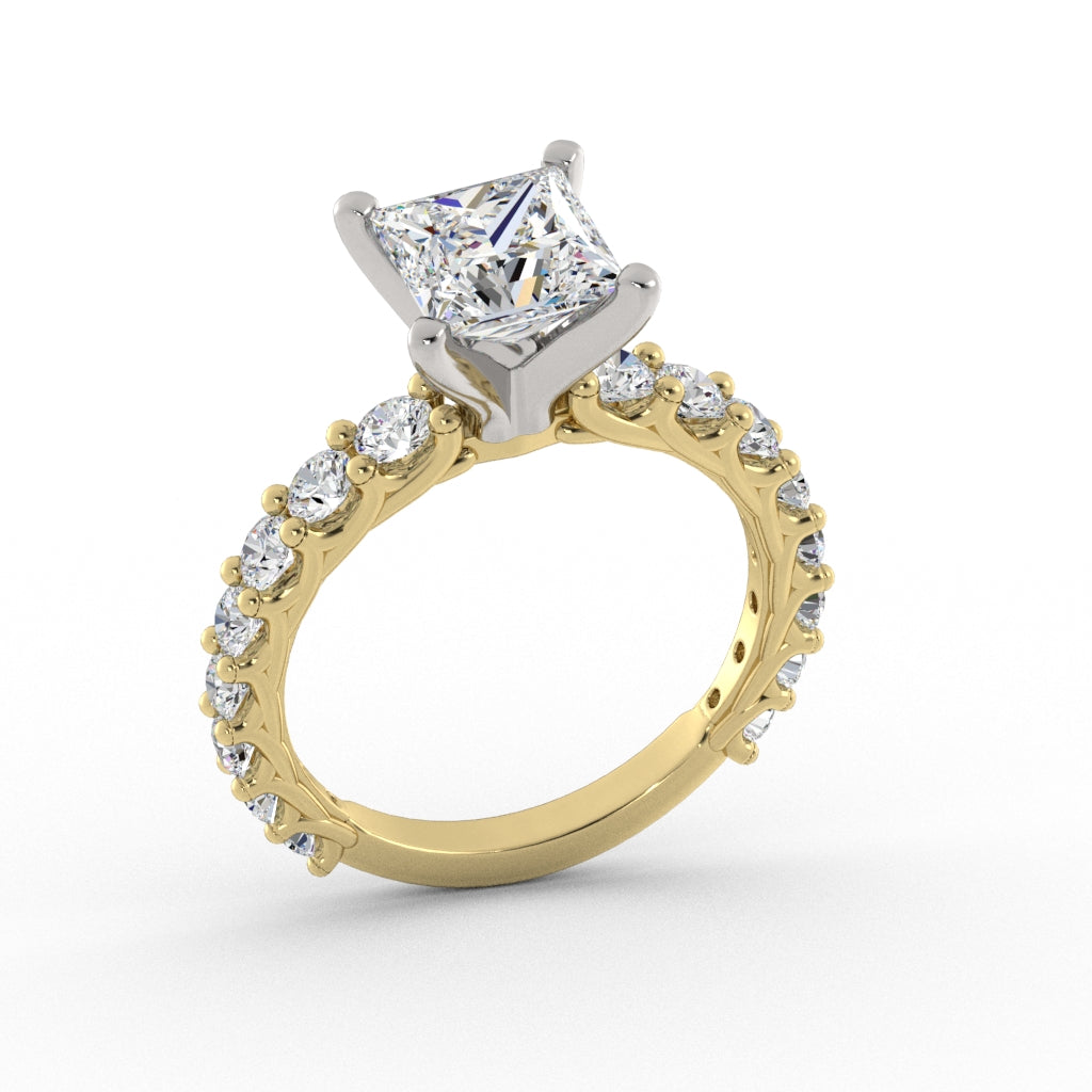 ACJ0574-Princess