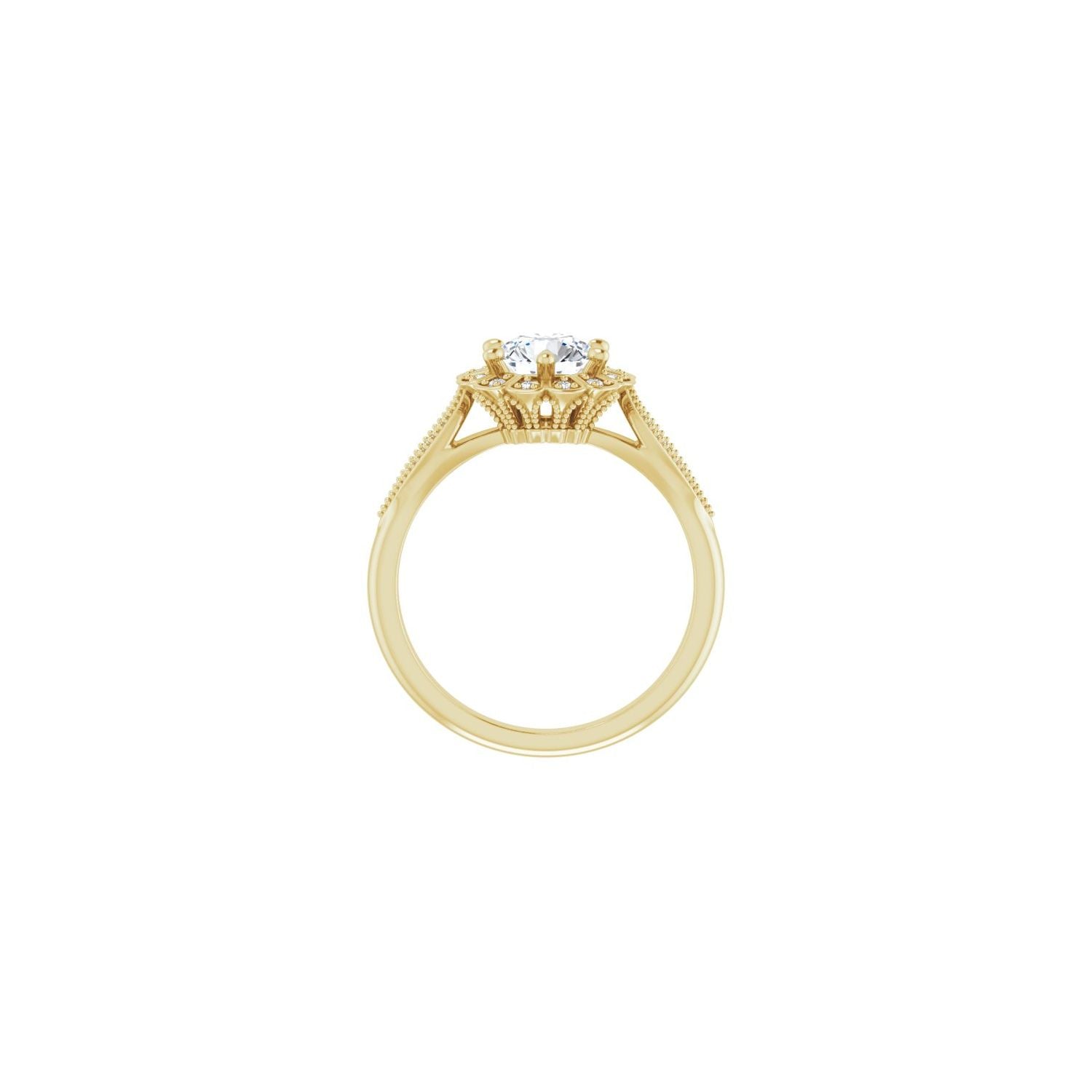 Ellis — yellow gold