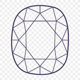 Elongated Cushion Cut Lab Diamond - Premier (E/VVS) (Copy)