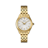 Seiko Essentials Watch